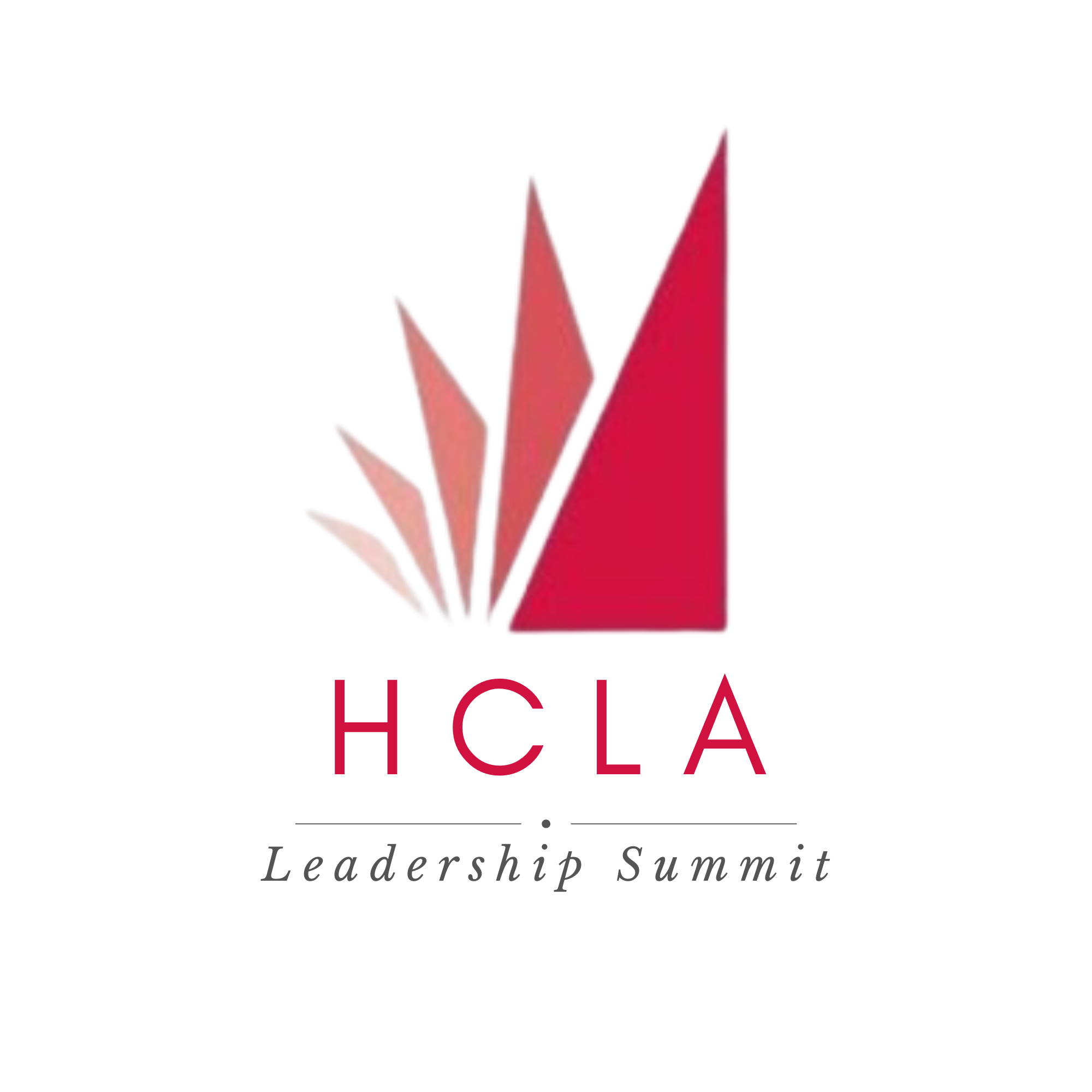 2026 Leadership Summit - logo